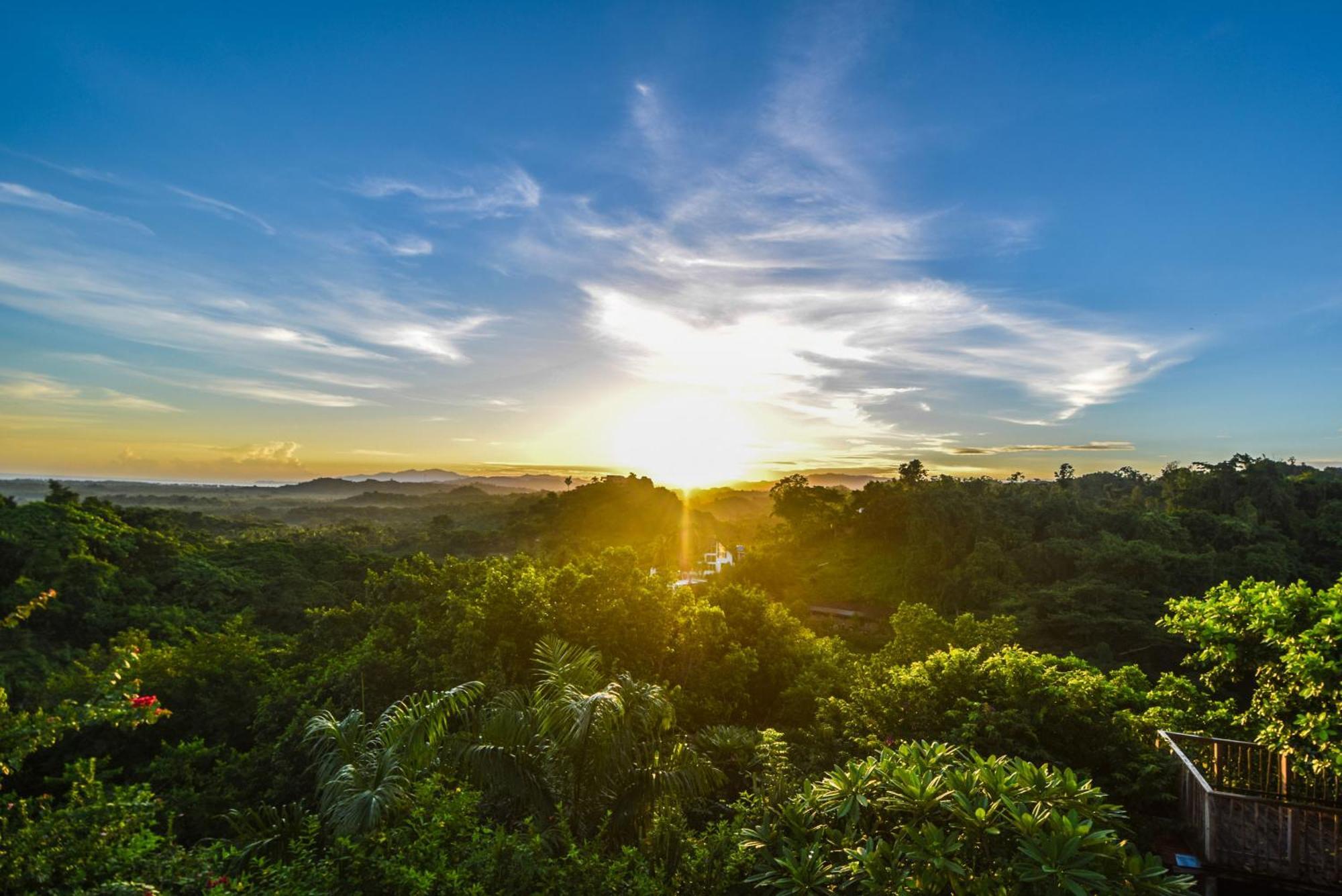 Clave Verde Ecolodge Las Terrenas Buitenkant foto