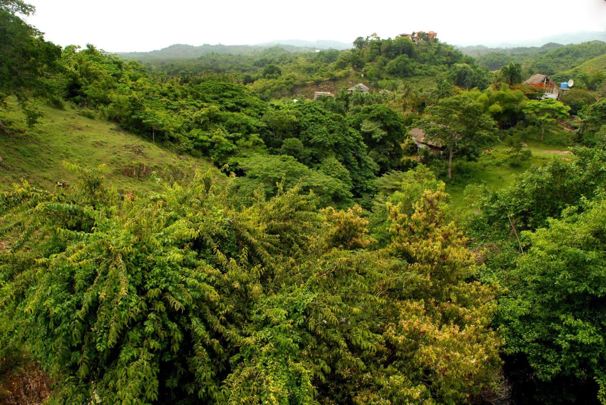Clave Verde Ecolodge Las Terrenas Buitenkant foto