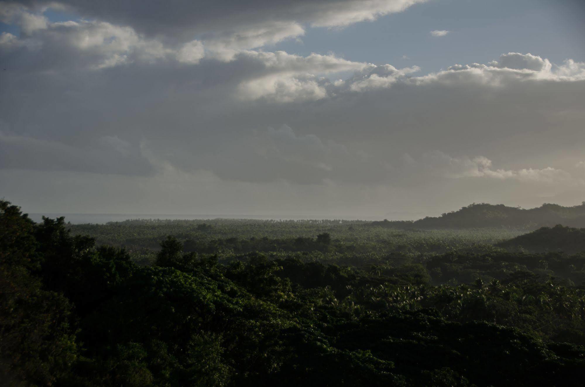 Clave Verde Ecolodge Las Terrenas Buitenkant foto